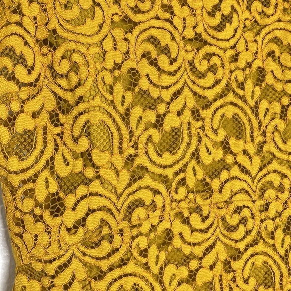 Zara Basic Collection Lace Floral A Line Dress Mustard Yellow Collared Large - Picture 3 of 8